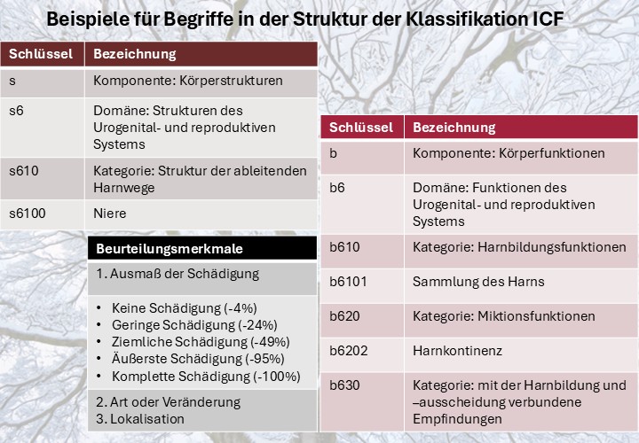 Tabellen zu Körperfunktionen und -strukturen der ICF